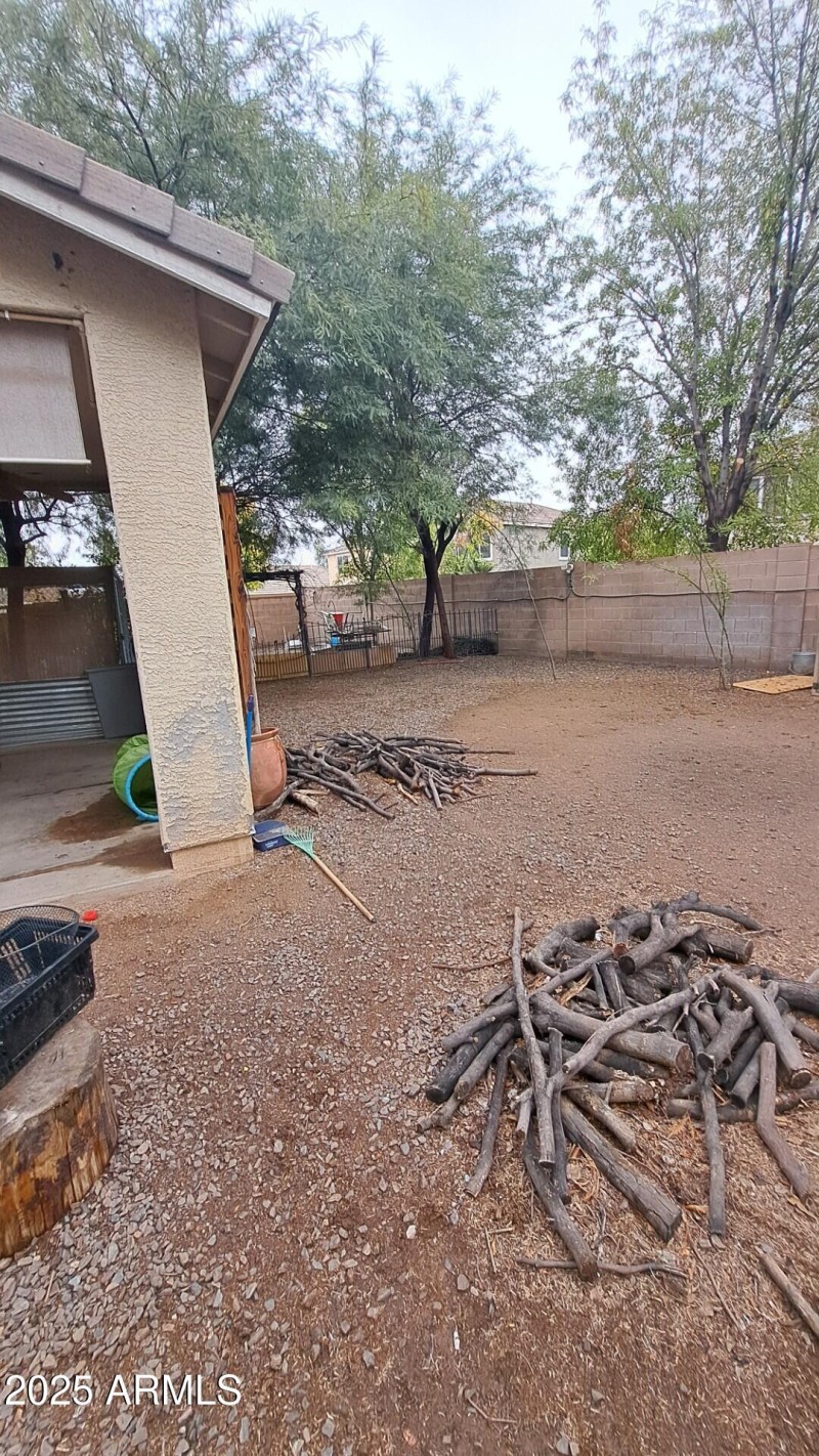 Backyard 4