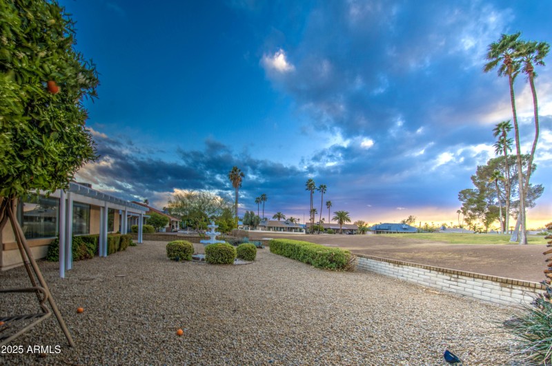 Backyard View