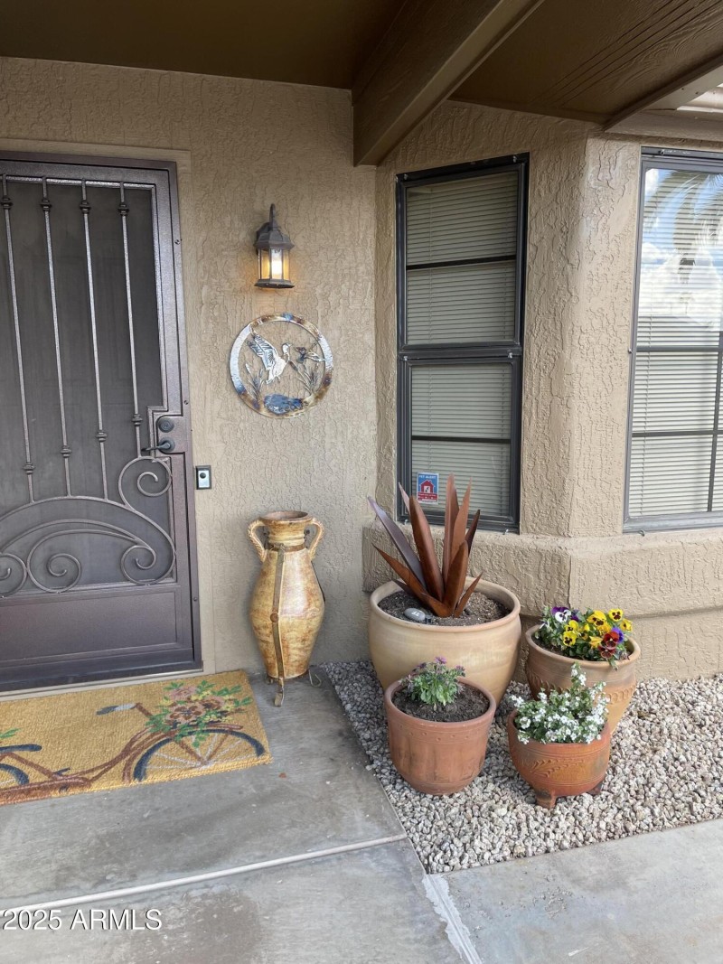 Front Patio