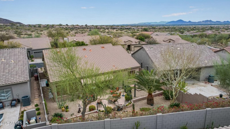 Overview of backyard