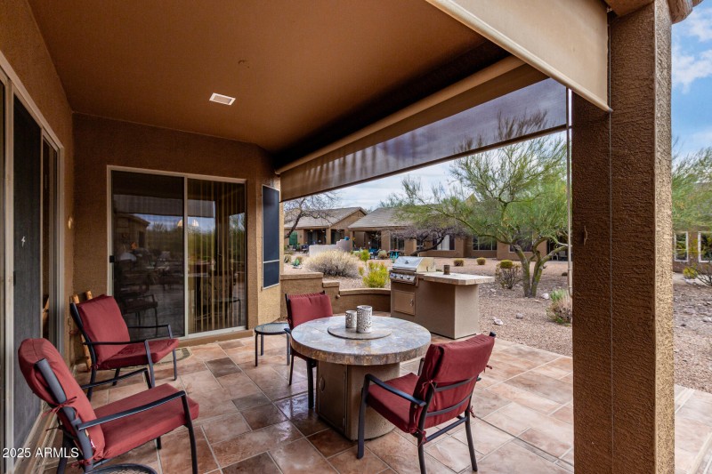 25 Canyon Wren