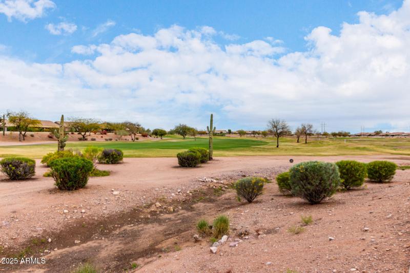 30 Canyon Wren