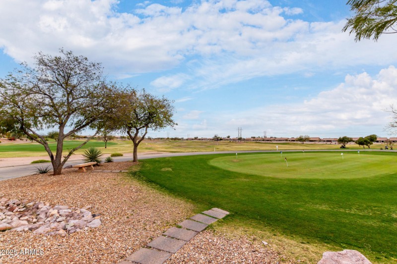 31 Canyon Wren