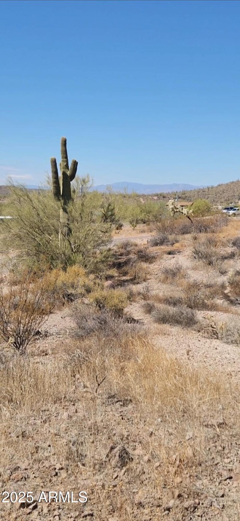 VideoCapture_20250318-175015