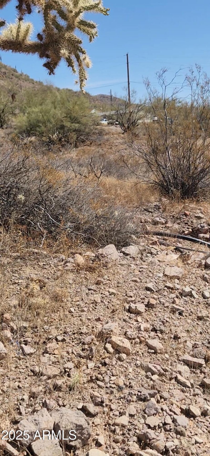 VideoCapture_20250318-175246