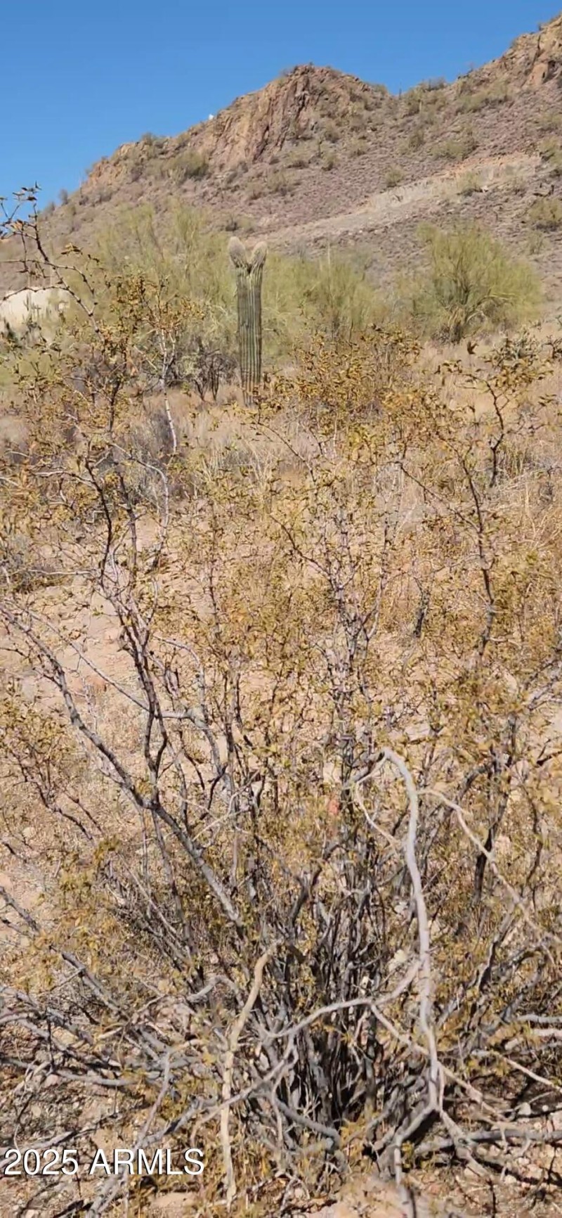 VideoCapture_20250318-175229