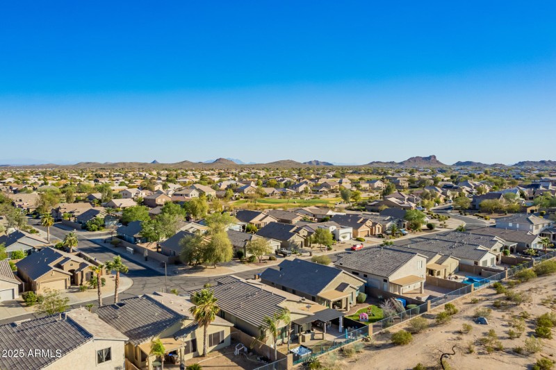 71- Little Leaf Drone