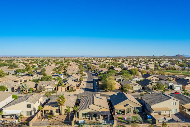 72- Little Leaf Drone