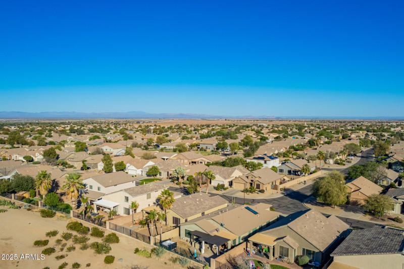 73- Little Leaf Drone