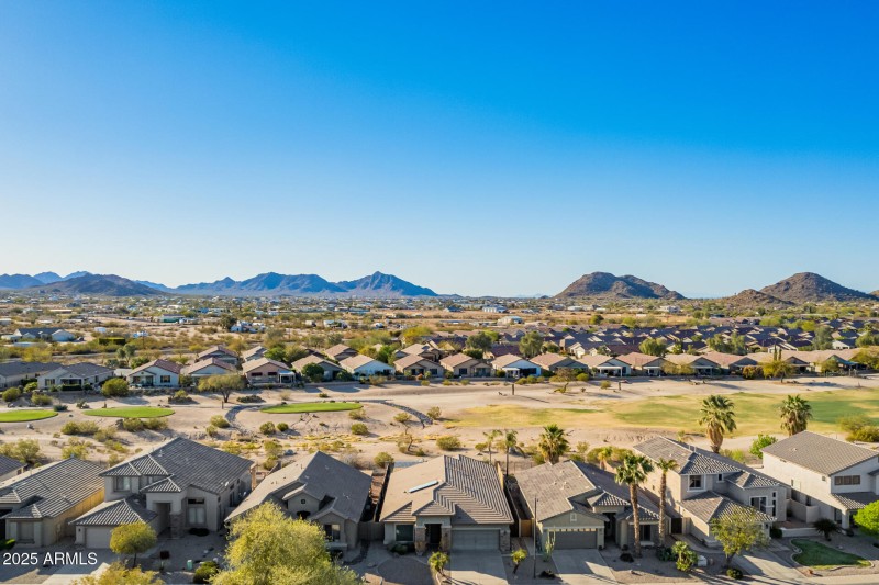 75- Little Leaf Drone