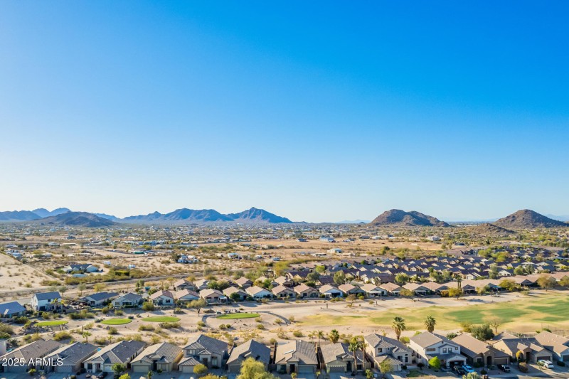 77- Little Leaf Drone