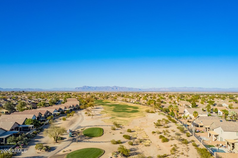 78- Little Leaf Drone