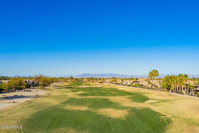 79- Little Leaf Drone