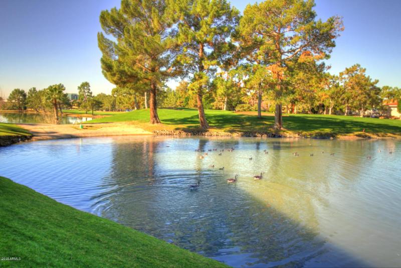 Arizona Biltmore Estates