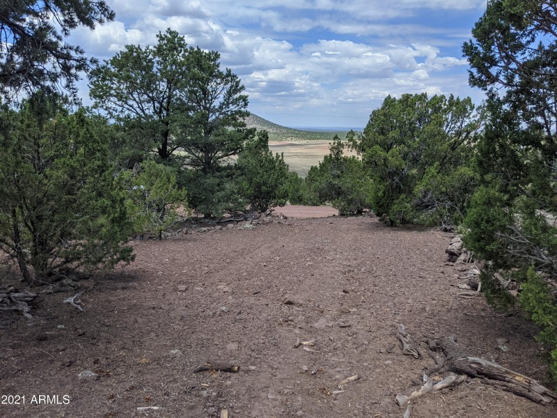 PXL_20210603_180923863