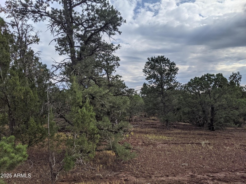 PXL_20210917_224204343