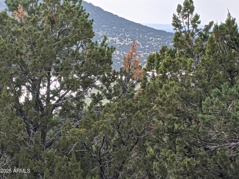 PXL_20210917_224750069