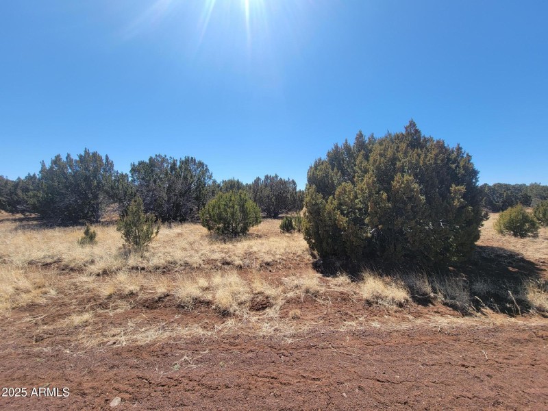 73 County Rd 8082