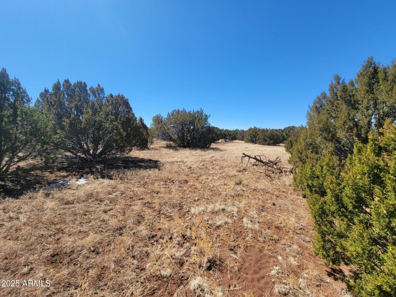 73 County Rd 8082