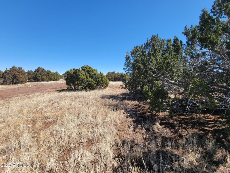 73 County Rd 8082