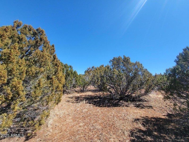 73 County Rd 8082