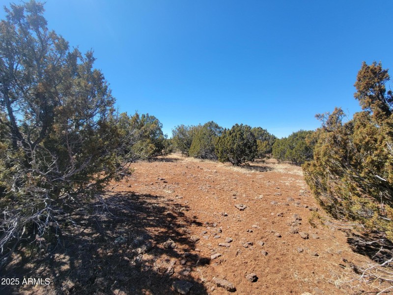 73 County Rd 8082