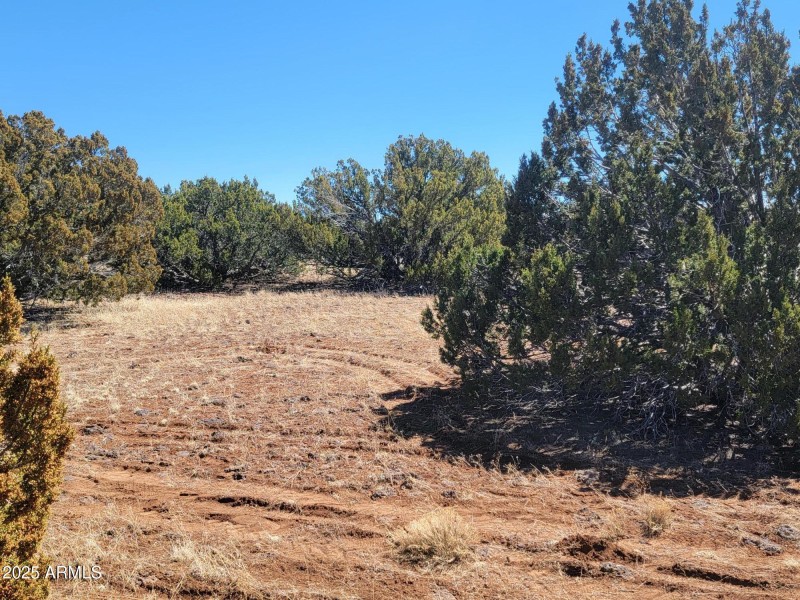 73 County Rd 8082