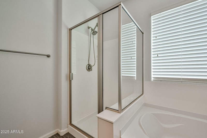 Primary Shower