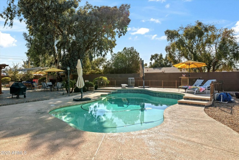 Backyard Oasis