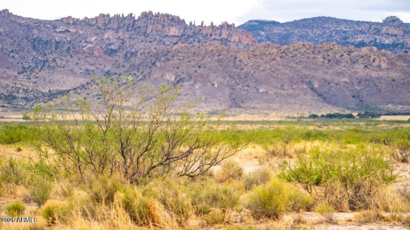 20210724211012336791000000-o