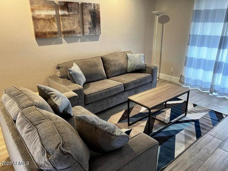 Fully Furnished Living Room