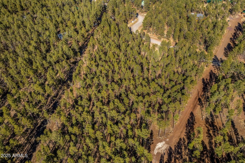 Parcel31111036J-PinetopLakeside-AZ-10