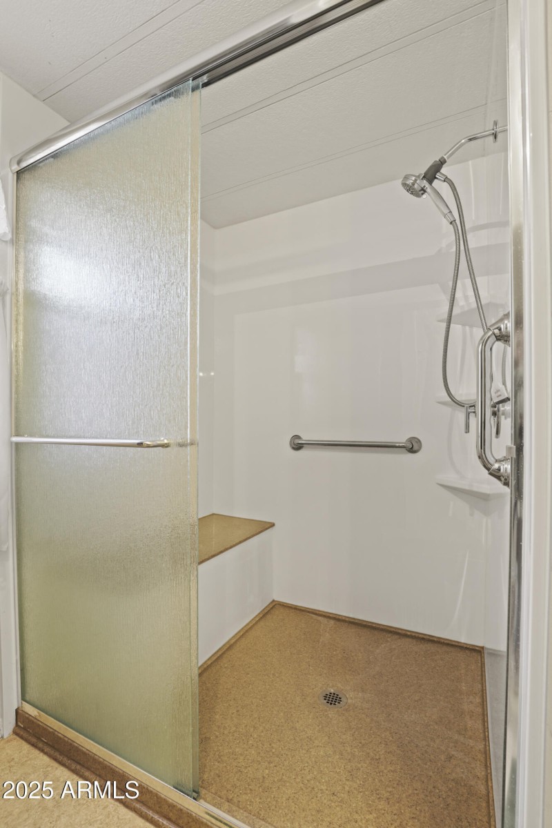 Primary Bath Walk-in Shower