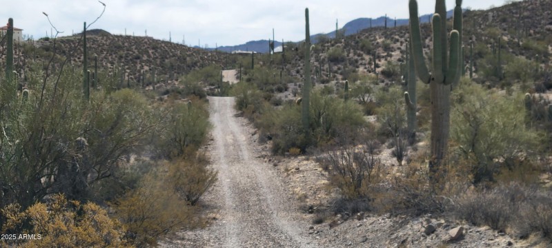 Dirt Rd to the 9 acreprop