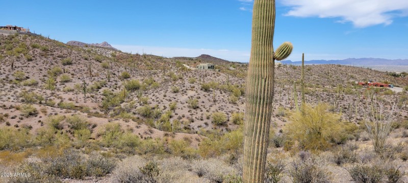 Neighbor to 9 acre