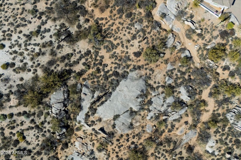3-81700246