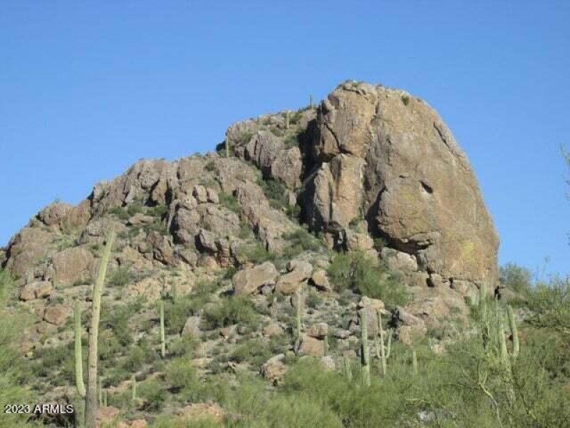 elephant at butte