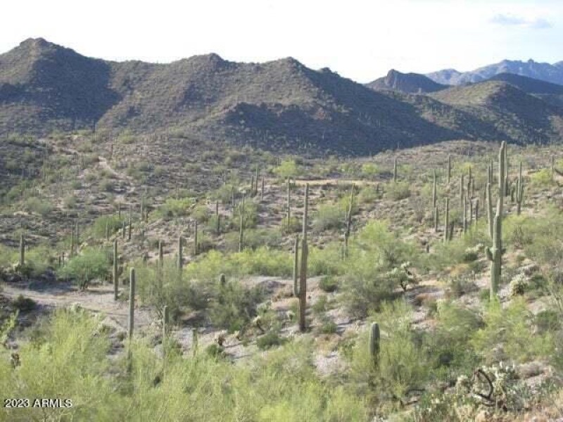elephant butte