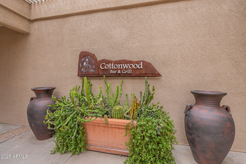 Cottonwood (27)