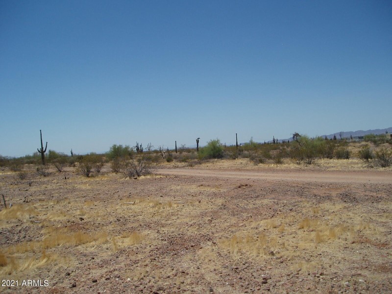 P6060003