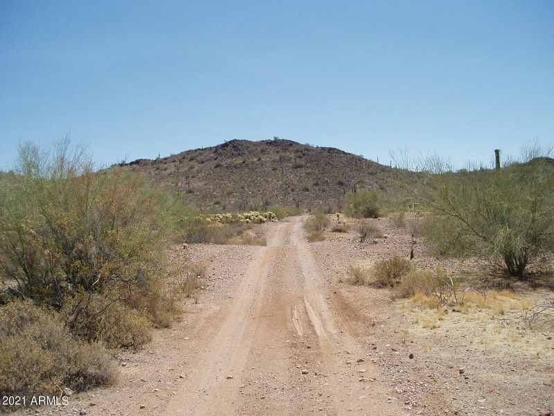 P6060004