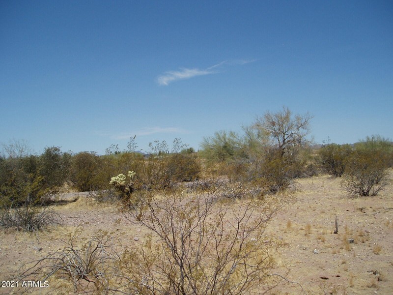 P6060007