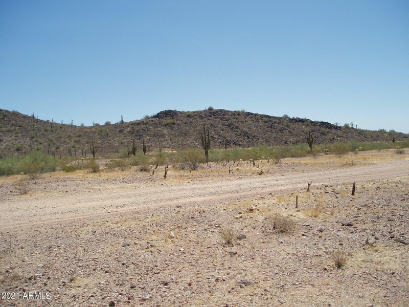 P6060008