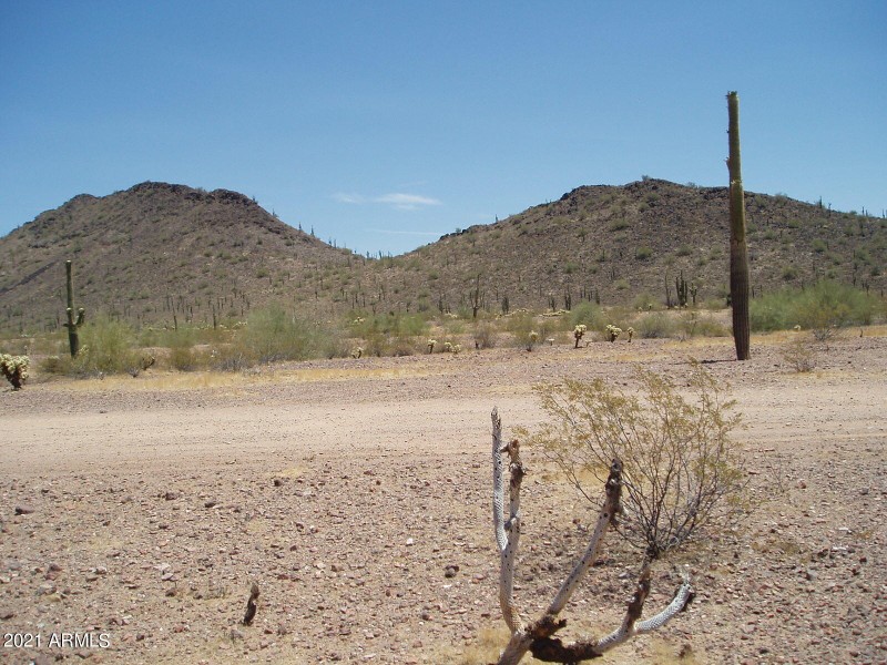 P6060009