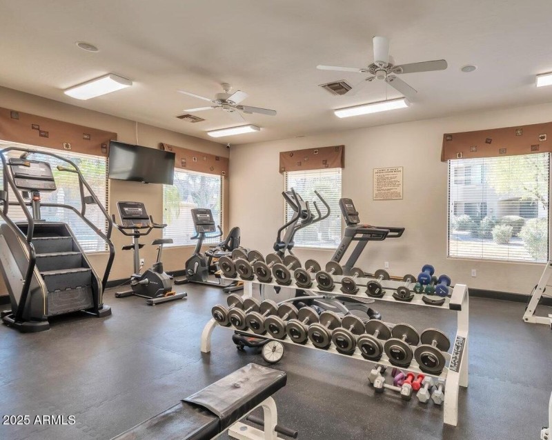 gym