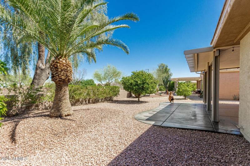 35 - Cactus Ridge 15136