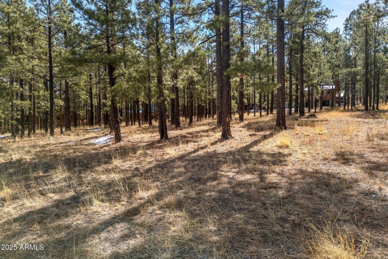 3N1062-Greer-AZ-1