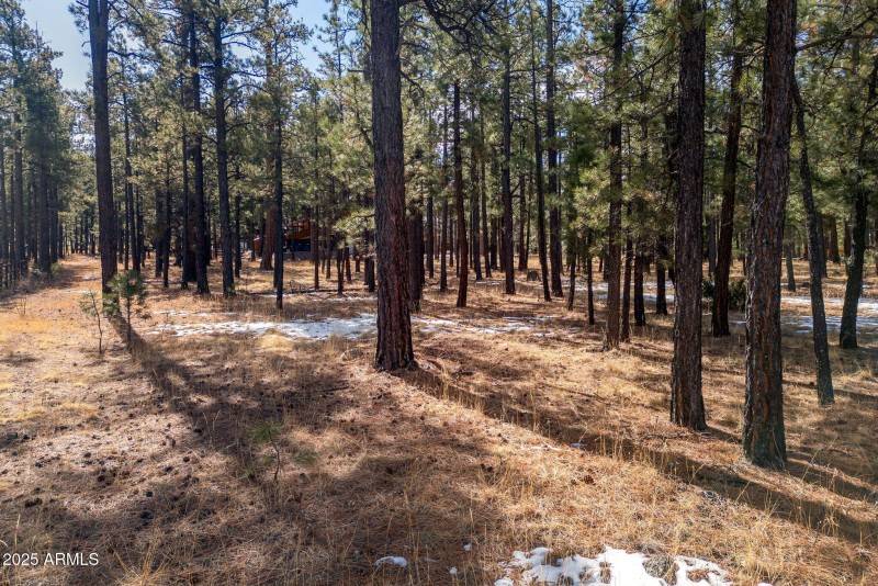3N1062-Greer-AZ-2