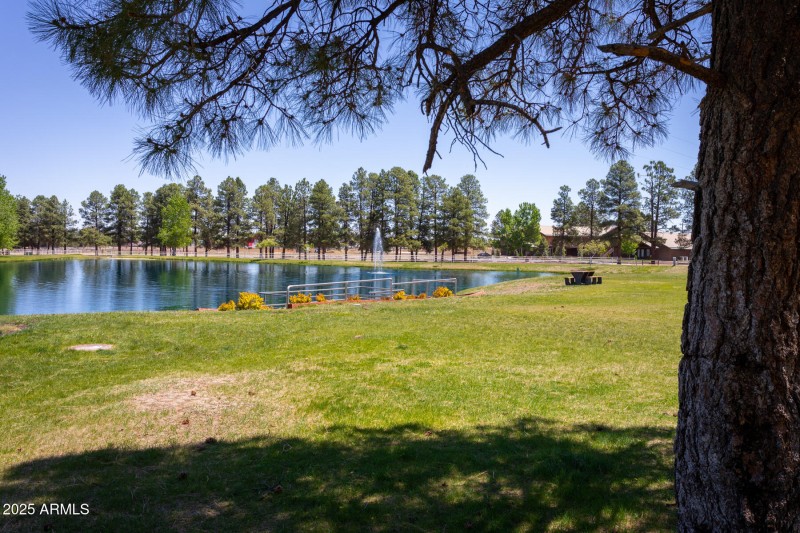 Bison Ranch_24
