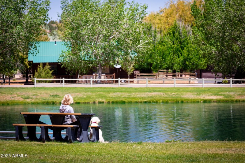 Bison Ranch_28